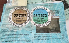 Miễn đăng kiểm lần đầu ô tô mới, việc dán tem thực hiện ra sao?