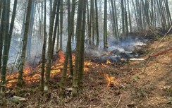 Cháy rừng ở Hòa Bình sau tiếng nổ lớn, hơn 200 người nỗ lực dập lửa