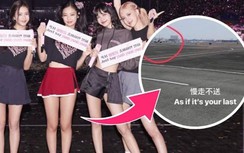 Công ty Đài Loan "hứng gạch" vì bị cho là thiếu tôn trọng Black Pink