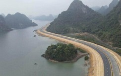 Vì sao rừng ngập mặn ven đường bao biển Quảng Ninh "hồi sinh" thần kỳ?