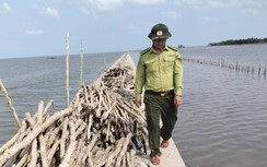 Dân chiếm đất rừng phòng hộ nuôi sò huyết: Sở NN&PTNT Cà Mau báo cáo gì?