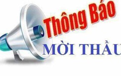 Thông báo mời thầu Dự án sửa chữa nền, mặt đường các đoạn QL1, Quảng Ngãi