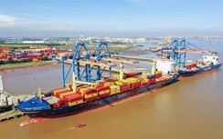 Bỏ giá trần dịch vụ, doanh nghiệp cảng biển có được hưởng lợi?