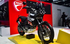 Ducati DesertX 2023 RR22 ra mắt phiên bản đặc biệt