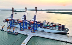 Hậu trường đưa siêu tàu container cập cảng Cái Mép