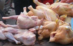 Bộ Nông nghiệp nói gì về thông tin thịt thải loại ồ ạt nhập vào Việt Nam?
