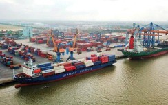 Lợi nhuận doanh nghiệp cảng biển sụt giảm nghiêm trọng