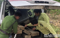 Quảng Ngãi bắt loạt xe khách hết hạn đăng kiểm lâm tặc dùng chở gỗ lậu