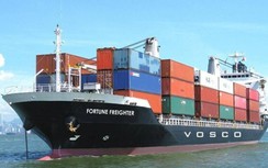 Vận tải biển gặp khó vì quy định giảm phát thải carbon
