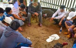 Triệt phá tụ điểm đá gà ăn tiền thu giữ gần 100 triệu đồng ở Quảng Ngãi
