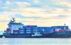 Hơn 16 triệu tấn hàng hóa thông qua tuyến vận tải thủy Việt Nam - Campuchia