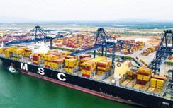 Hàng container qua cảng biển tăng gấp đôi sau 7 năm