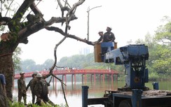 Bắt đầu chặt hạ 3 cây sưa đỏ quý hiếm bị chết khô ở hồ Hoàn Kiếm