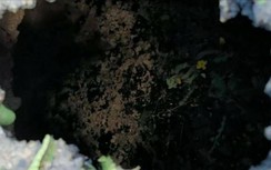 Bất ngờ phát hiện hố sâu 2,5m trên QL1 qua Phú Yên