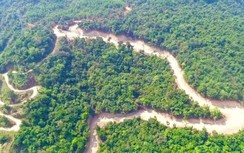 Sự thật Tập đoàn Đèo Cả có phá rừng làm đường công vụ ở Quảng Ngãi?