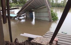 Sạt lở đất nghiêm trọng ở Bạc Liêu ảnh hưởng 96 nhà dân