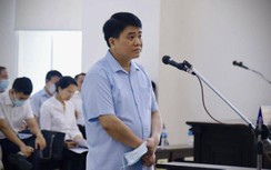 Vụ thổi giá cây xanh Hà Nội: Tiếp tục đề nghị truy tố ông Nguyễn Đức Chung