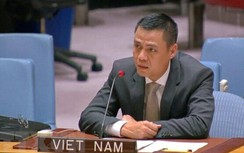 Tại Liên hợp quốc, Việt Nam bày tỏ quan ngại về diễn biến trên Biển Đông