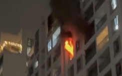 Hàng trăm người tháo chạy vì đám cháy ở chung cư 12 tầng tại TP.HCM