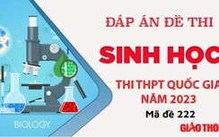 Gợi ý đáp án môn Sinh Học mã đề 222 tốt nghiệp THPT Quốc Gia 2023