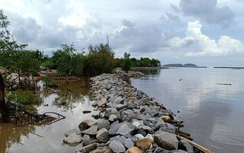 Cà Mau hỏa tốc xin Chính phủ sớm điều chỉnh dự án đê, kè ven biển