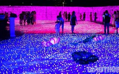 Đà Nẵng: Thắp sáng bờ tây cầu Rồng với 500.000 đèn led