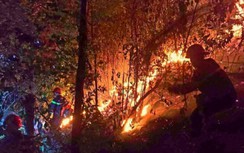 Vụ cháy rừng ở Nghệ An: Công an làm việc với 4 người lạ mặt