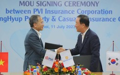 Bảo hiểm PVI bắt tay hãng bảo hiểm hàng đầu Hàn Quốc