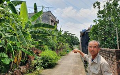 Hải Dương: Dân bất an khi sống dưới đường điện cao thế