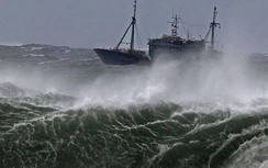 Tác động của bão số 1, biển Đông mưa lớn, lốc xoáy, gió giật mạnh
