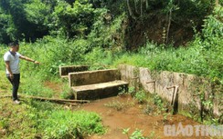 Trang trại heo không phép xả thải, dân làng khốn khổ vì nước ô nhiễm