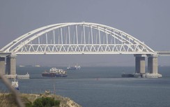 Phát hiện tàu chở hàng nước ngoài có dấu vết thuốc nổ, Nga cấm vào cảng