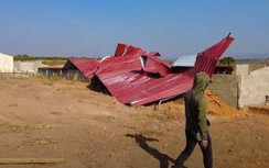 "Kiếp nạn 82" của Quang Linh Vlog: Lốc xoáy cuốn phăng mái tôn chuồng lợn