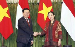 Kỳ vọng đưa thương mại Việt Nam - Indonesia vượt 15 tỷ USD