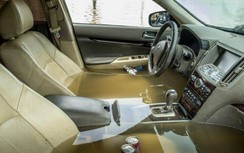 Nhiều xe ô tô bị thành "bể cá" dù chưa ngập nước bao giờ