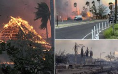 Cháy rừng ở Hawaii là thảm hoạ cháy chết chóc nhất ở Mỹ trong 100 năm