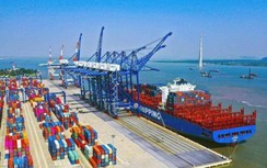Đề xuất tăng 10% giá bốc dỡ container cảng biển
