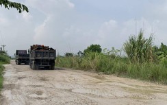 Quảng Ninh: Đường hộ đê nát như ruộng cày dưới bánh xe tải trọng lớn
