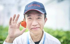 Hãng Toyota trồng dâu tây, cà chua bi tại các nhà máy