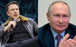 Starlink có sức mạnh lớn: Tỷ phú Musk từng có cuộc đối thoại với ông Putin