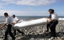Bí ẩn vụ máy bay MH370 mất tích có thể giải đáp nhờ 1 loài động vật?