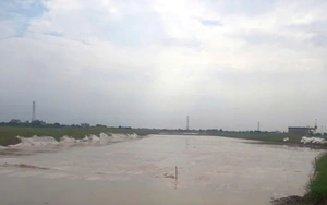 Nhà thầu lớn "lên dây cót" tăng tốc tiến độ thi công cao tốc Ninh Bình - Hải Phòng