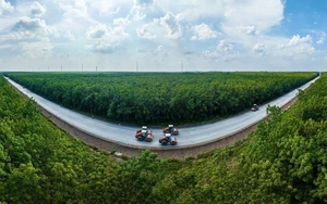 Lùi thời gian hoàn thành đường Hồ Chí Minh đoạn Chơn Thành - Đức Hòa sang năm 2026