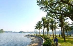 Cây xanh tạo bản sắc đô thị, nền tảng phát triển bền vững