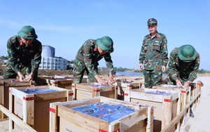 Trận địa pháo hoa các tỉnh phía Nam sẵn sàng khai hỏa chào năm mới Bính Ngọ 2026