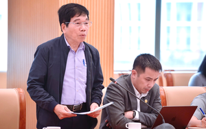 Góp ý sửa đổi Luật Nhà ở, Luật Kinh doanh bất động sản: Hoàn thiện chính sách từ thực tiễn