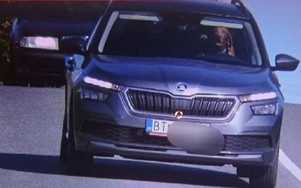 Bị phạt vì để chó ngồi vào ghế lái ô tô