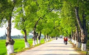 Đề xuất hơn 9.400 tỷ đồng nâng cấp 3 tuyến quốc lộ kết nối với Lào, Trung Quốc