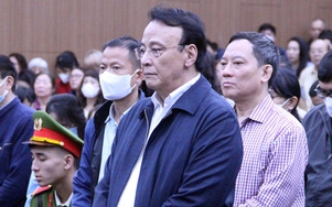 Chủ tịch Tân Hoàng Minh Đỗ Anh Dũng kháng cáo gì khi nhận mức án 8 năm tù?