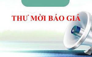 Mời báo giá thang máy sảnh E nhà ga T1, sân bay Nội Bài